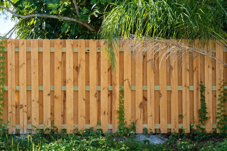 A board on board wood fence with palm fronds and shrubs growing over the top