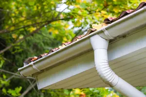 A clean white gutter and downspout on a home with fall leaves in the trees above