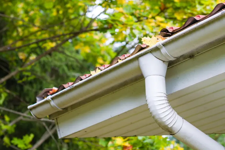 A clean white gutter and downspout on a home with fall leaves in the trees above