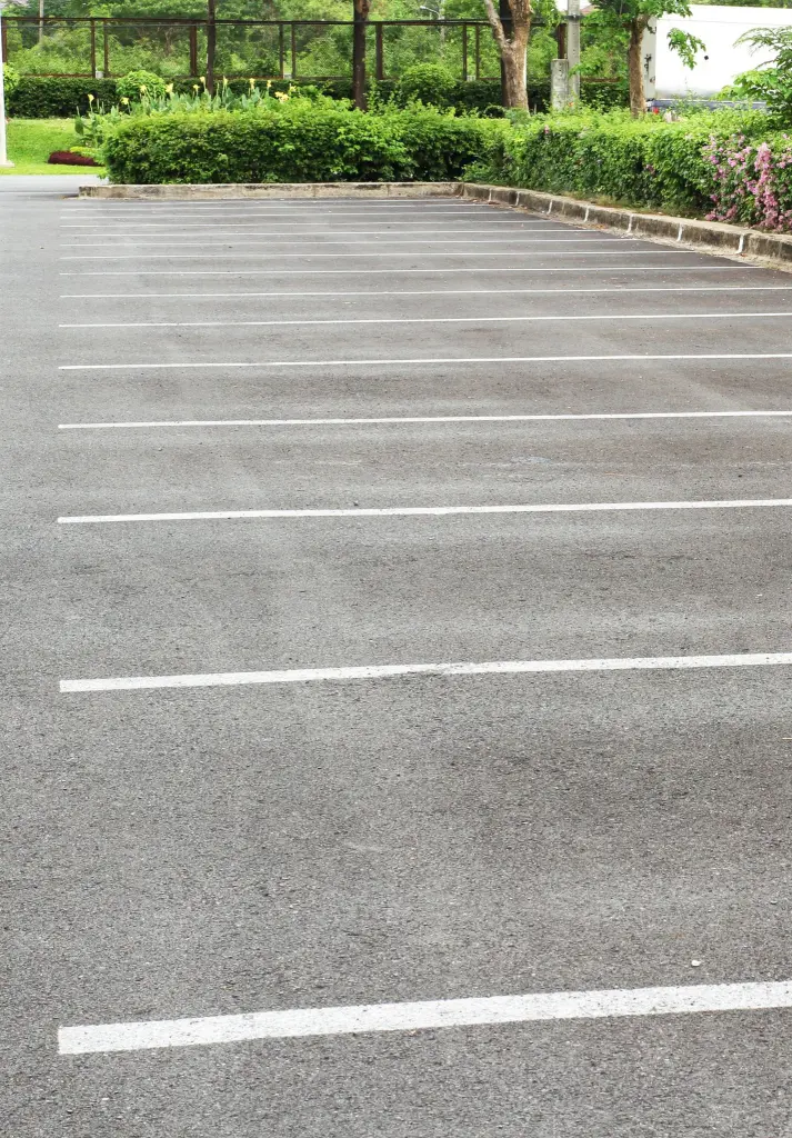 Freshly painted white stripes marking parking spaces on asphalt
