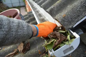 A gloved hand scooping wet leaves out of a gutter